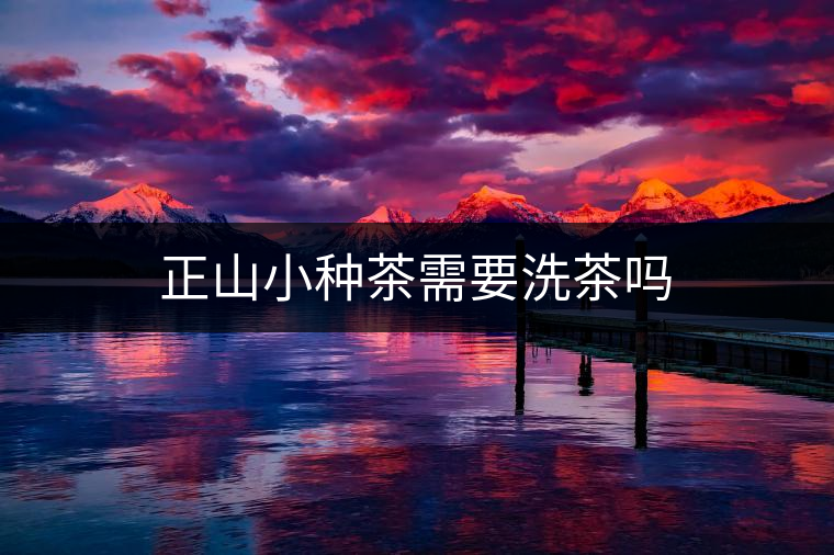正山小種茶需要洗茶嗎 正山小種茶需要洗茶嗎