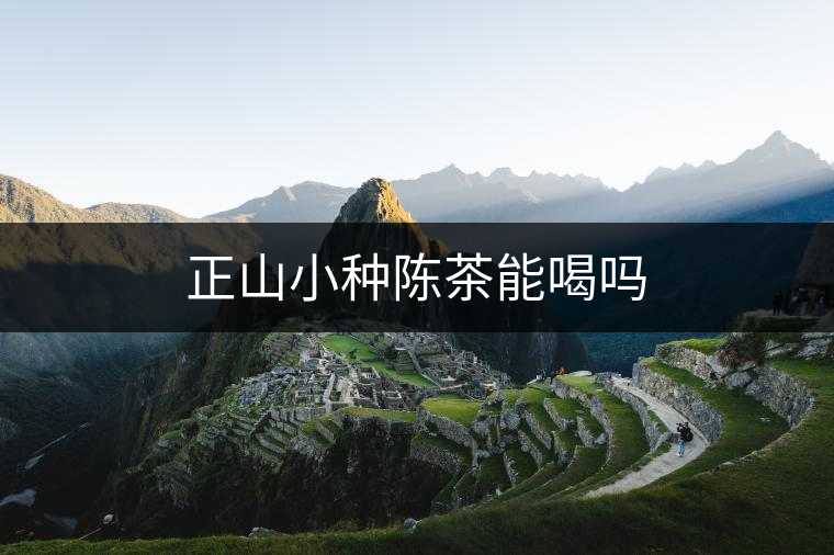 正山小種陳茶能喝嗎