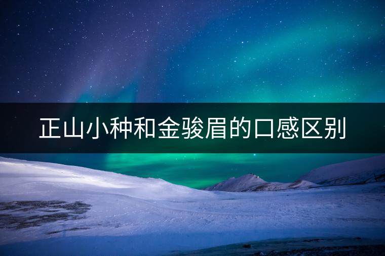正山小種和金駿眉的口感區別 正山小種和金駿眉的口感區別