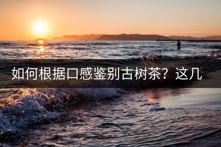 如何根據口感鑒別古樹茶?這幾個技巧值得收藏 如何根據口感鑒別古樹茶?這幾個技巧值得收藏
