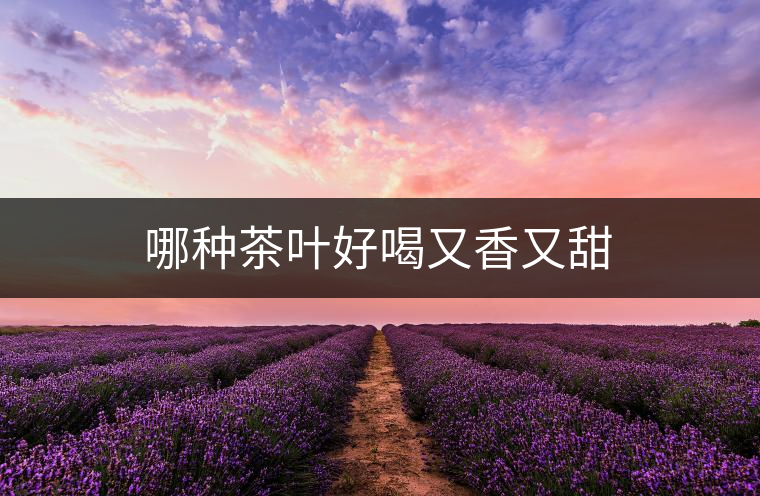 哪種茶葉好喝又香又甜 哪種茶葉好喝又香又甜