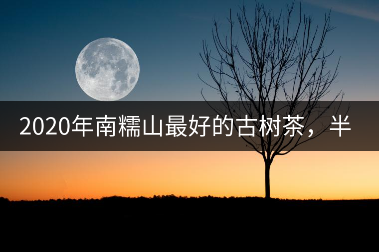 2020年南糯山最好的古樹茶,半坡老寨!-易武中聘號 2020年南糯山最好的古樹茶,半坡老寨!-易武中聘號