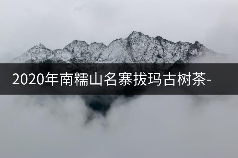 2020年南糯山名寨拔瑪古樹茶-易武中聘號