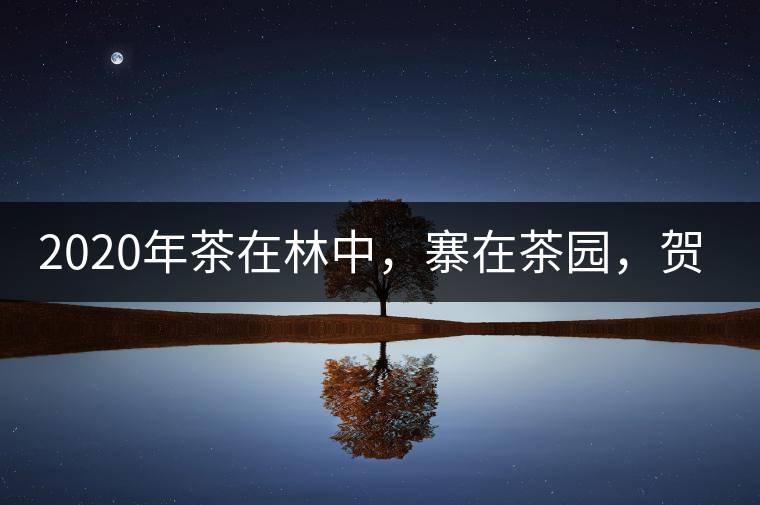 2020年茶在林中，寨在茶園，賀開古樹茶-易武中聘號