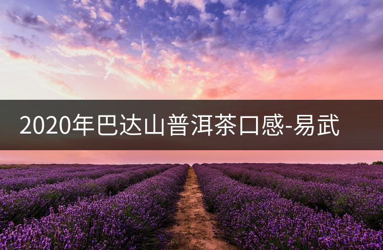 2020年巴達山普洱茶口感-易武中聘號 2020年巴達山普洱茶口感-易武中聘號