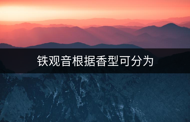 鐵觀音根據(jù)香型可分為 鐵觀音根據(jù)香型可分為