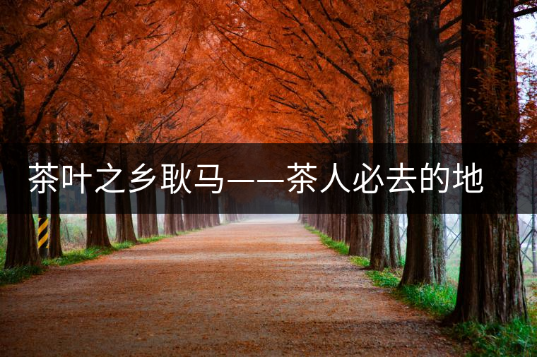 茶葉之鄉耿馬——茶人必去的地方 茶葉之鄉耿馬——茶人必去的地方