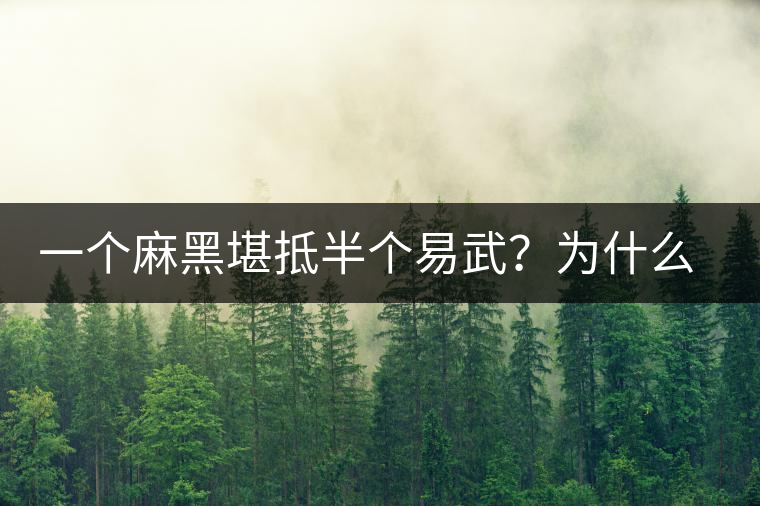 一個麻黑堪抵半個易武？為什么這么好喝？