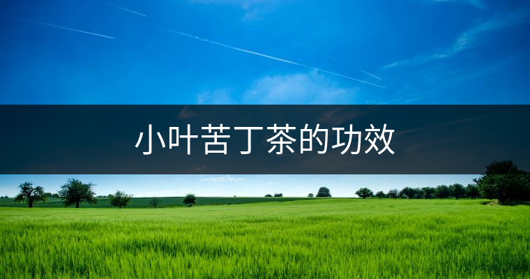 小葉苦丁茶的功效