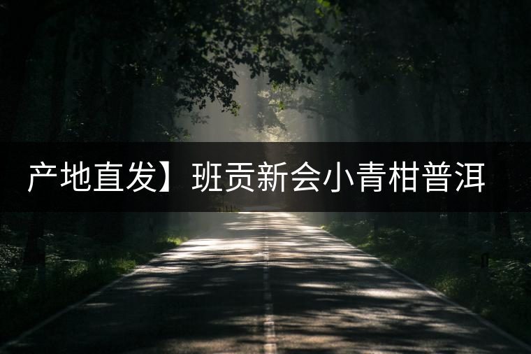 產(chǎn)地直發(fā)】班貢新會小青柑普洱茶柑普茶陳皮熟茶茶葉桔橘宮廷特級 產(chǎn)地直發(fā)】班貢新會小青柑普洱茶柑普茶陳皮熟茶茶葉桔橘宮廷特級