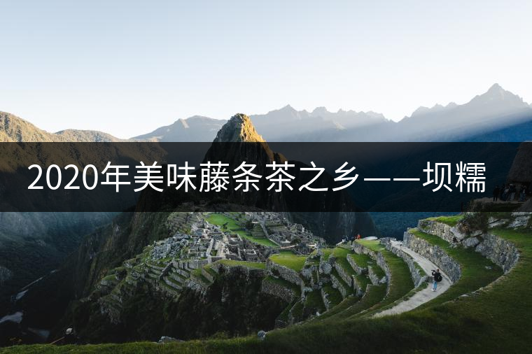 2020年美味藤條茶之鄉——壩糯-易武中聘號 2020年美味藤條茶之鄉——壩糯-易武中聘號