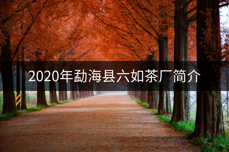 2020年勐海縣六如茶廠簡介 2020年勐海縣六如茶廠簡介