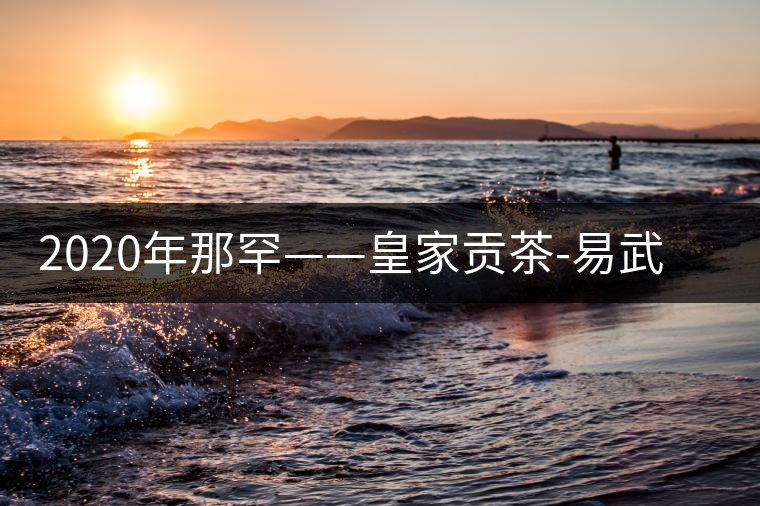 2020年那罕——皇家貢茶-易武中聘號 2020年那罕——皇家貢茶-易武中聘號