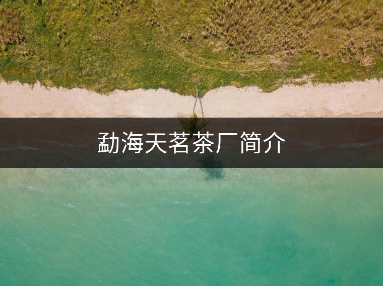 勐海天茗茶廠簡介
