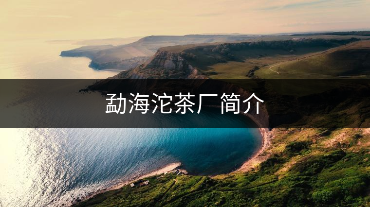 勐海沱茶廠簡介