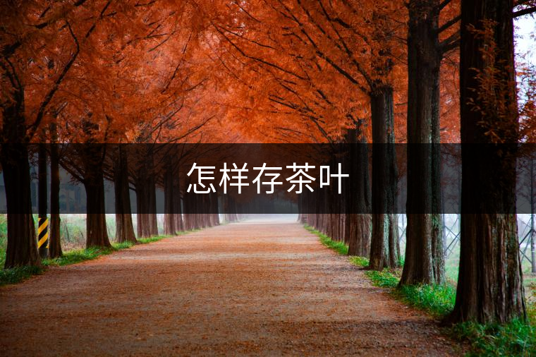 怎樣存茶葉 怎樣存茶葉