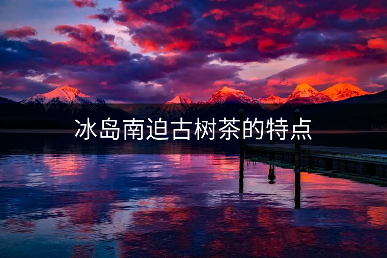 冰島南迫古樹茶的特點 冰島南迫古樹茶的特點