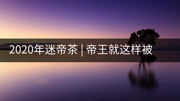2020年迷帝茶 | 帝王就這樣被迷住了?-易武中聘號 2020年迷帝茶 | 帝王就這樣被迷住了?-易武中聘號