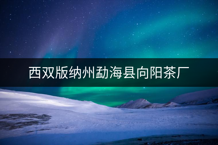 西雙版納州勐海縣向陽茶廠