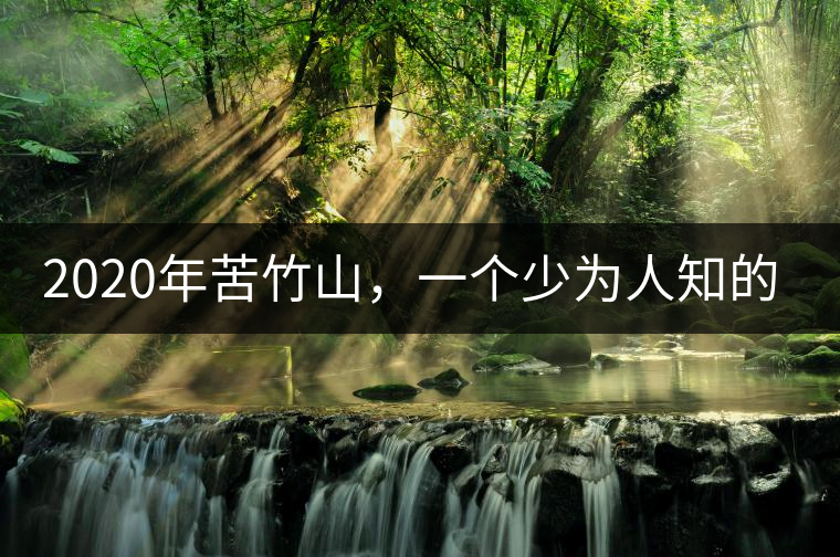 2020年苦竹山，一個少為人知的后起之秀！-易武中聘號