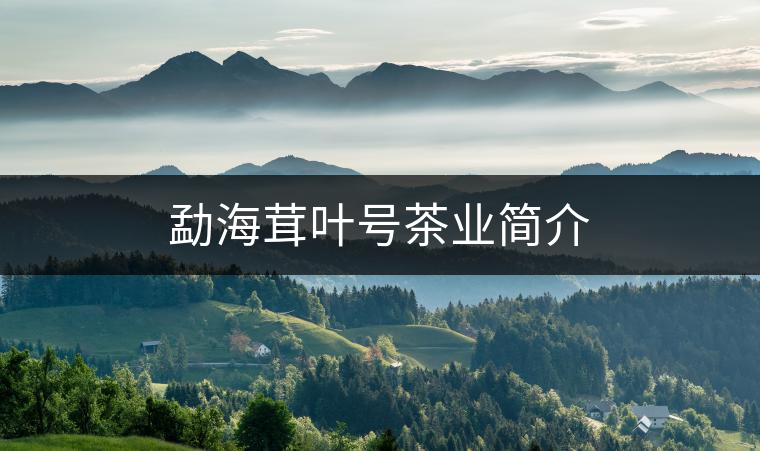 勐海茸葉號茶業簡介