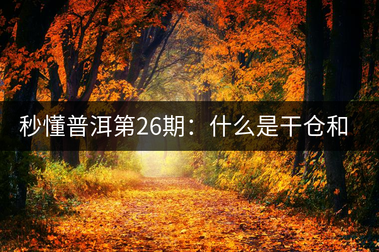 秒懂普洱第26期：什么是干倉和濕倉？