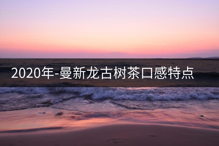 2020年-曼新龍古樹茶口感特點(diǎn)-易武中聘號(hào) 2020年-曼新龍古樹茶口感特點(diǎn)-易武中聘號(hào)