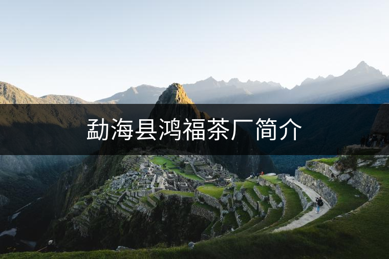 勐海縣鴻福茶廠簡介