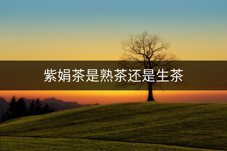 紫娟茶是熟茶還是生茶 紫娟茶是熟茶還是生茶