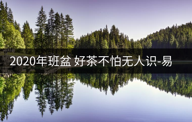 2020年班盆 好茶不怕無(wú)人識(shí)-易武中聘號(hào)
