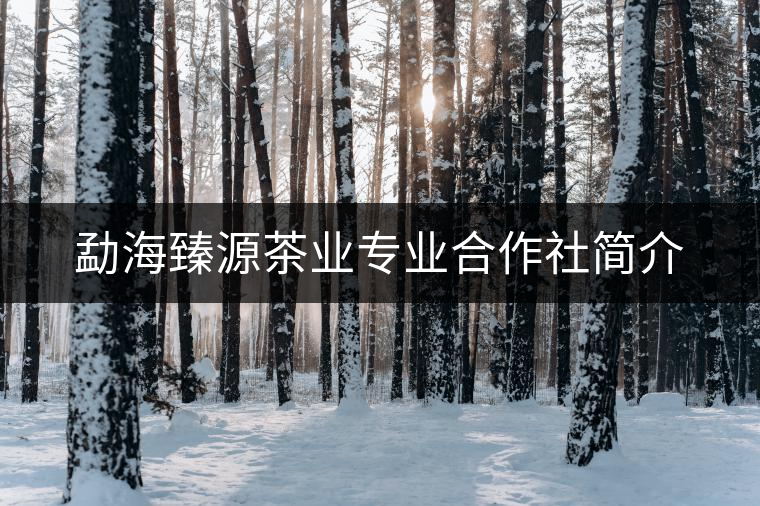 勐海臻源茶業專業合作社簡介