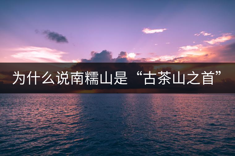 為什么說南糯山是“古茶山之首”? 為什么說南糯山是“古茶山之首”?