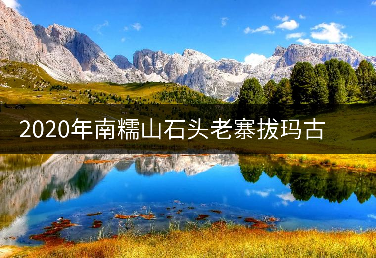 2020年南糯山石頭老寨拔瑪古樹：醇柔之質，綿遠之韻-易武中聘號