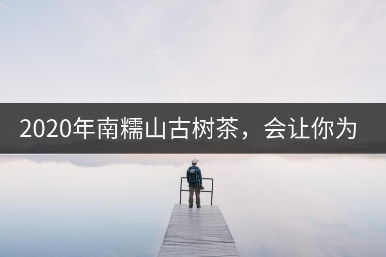 2020年南糯山古樹茶,會讓你為之著迷-易武中聘號 2020年南糯山古樹茶,會讓你為之著迷-易武中聘號