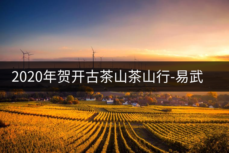 2020年賀開(kāi)古茶山茶山行-易武中聘號(hào) 2020年賀開(kāi)古茶山茶山行-易武中聘號(hào)