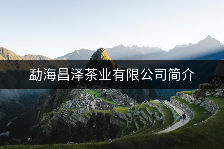 勐海昌澤茶業有限公司簡介 勐海昌澤茶業有限公司簡介