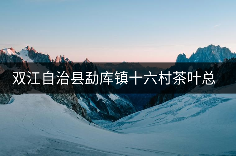 雙江自治縣勐庫鎮十六村茶葉總匯元夢茶廠簡介