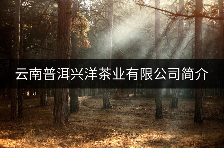 云南普洱興洋茶業有限公司簡介 云南普洱興洋茶業有限公司簡介