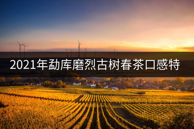 2021年勐庫磨烈古樹春茶口感特點(diǎn)是什么？