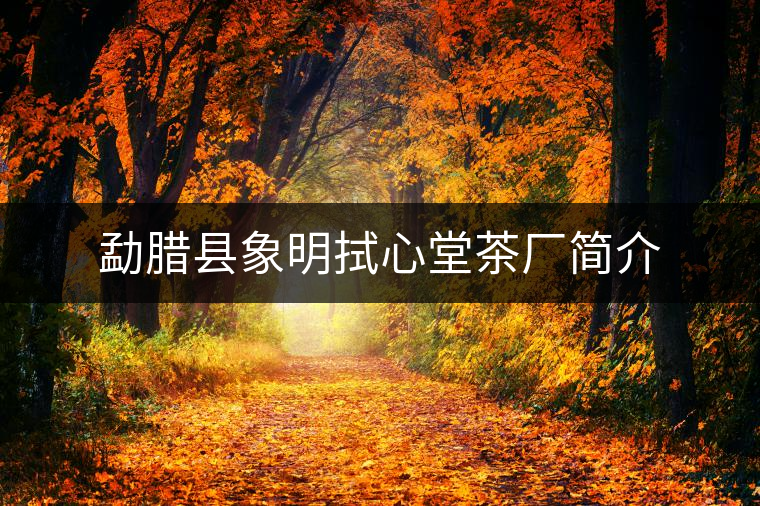 勐臘縣象明拭心堂茶廠簡介