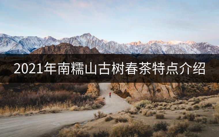 2021年南糯山古樹(shù)春茶特點(diǎn)介紹 2021年南糯山古樹(shù)春茶特點(diǎn)介紹