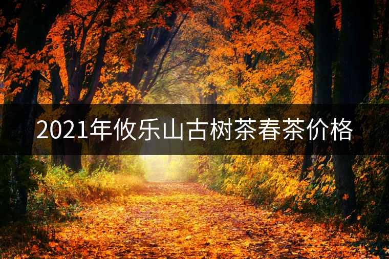 2021年攸樂山古樹茶春茶價格 2021年攸樂山古樹茶春茶價格