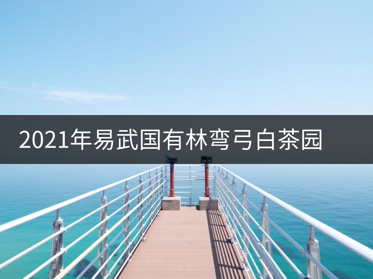 2021年易武國(guó)有林彎弓白茶園古樹(shù)春茶口感特點(diǎn) 2021年易武國(guó)有林彎弓白茶園古樹(shù)春茶口感特點(diǎn)