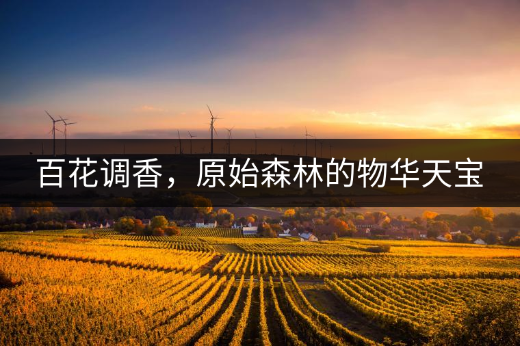 百花調香,原始森林的物華天寶 百花調香,原始森林的物華天寶