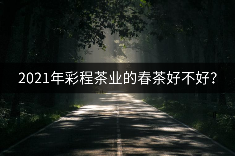 2021年彩程茶業的春茶好不好? 2021年彩程茶業的春茶好不好?