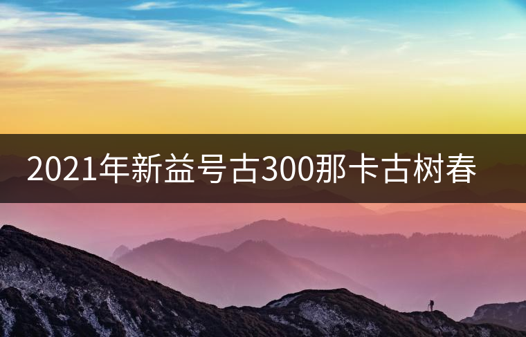 2021年新益號古300那卡古樹春茶口感怎么樣? 2021年新益號古300那卡古樹春茶口感怎么樣?