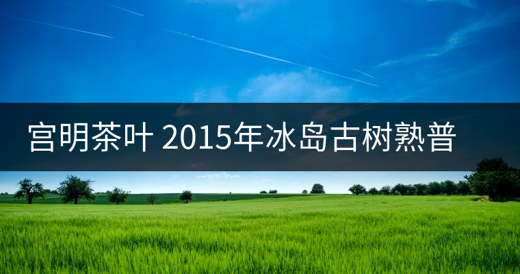 宮明茶葉 2015年冰島古樹(shù)熟普口感怎么樣? 宮明茶葉 2015年冰島古樹(shù)熟普口感怎么樣?
