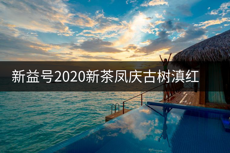 新益號2020新茶鳳慶古樹滇紅茶特級云南大金針金芽金枝品質如何？
