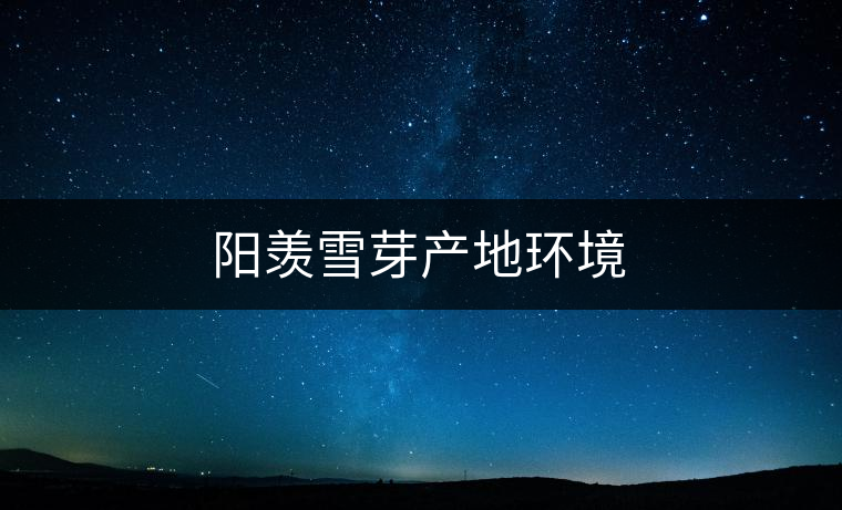 陽羨雪芽產地環境