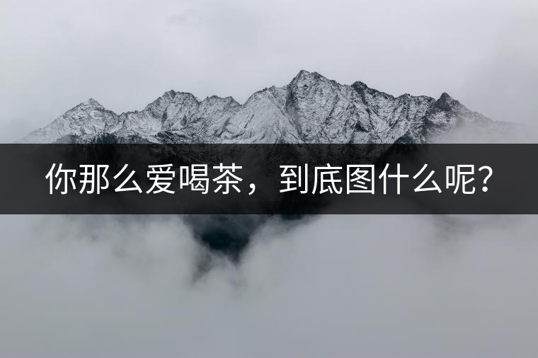 你那么愛喝茶，到底圖什么呢？